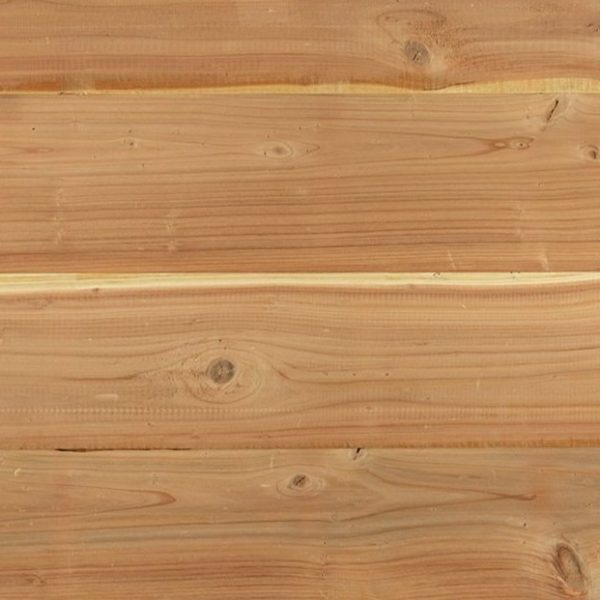 Fallen Redwood Raw