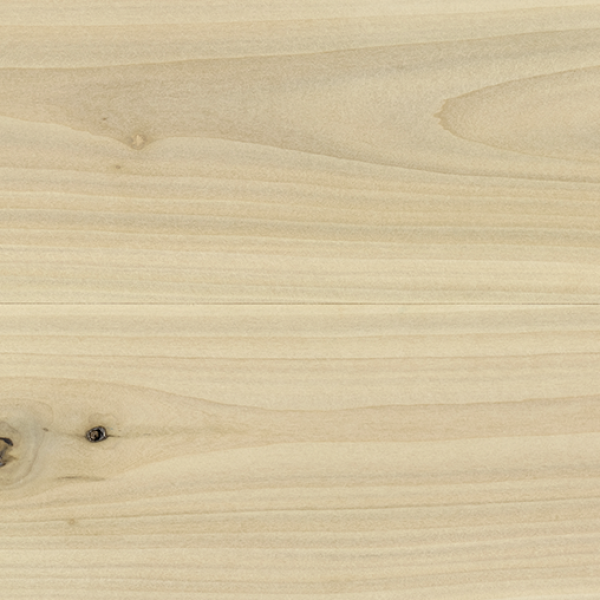 Poplar Unfinished